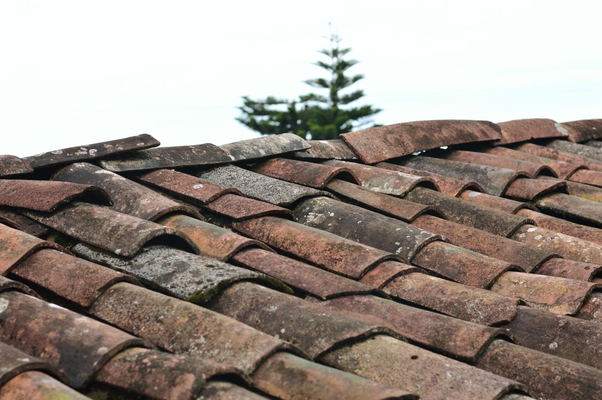 zonnepanelen dak